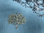 Brass brooch「New season」の画像