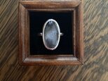 プラチナルチルのRing Ⅲの画像