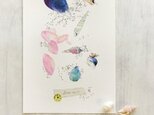 海がくれたもの＊vol.3 zushi beach〜 貝殻カードの画像