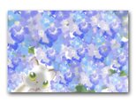 「お願いがあるんだけど・・・」 紫陽花 猫 ほっこり癒しのイラストポストカード2枚組No.1367の画像