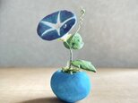 5735.bud 粘土の鉢植え アサガオ