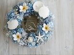 Summer Wreath ～Little Mermaid～　26cm（プリザ）の画像