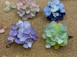 色とりどり   プリザーブドフラワー紫陽花のポニーフックの画像