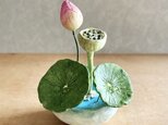 5768.bud 粘土の鉢植え ハス