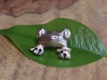カエルが覗く ピンズの画像