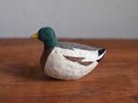 置物　マガモ