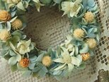 紫陽花とフランネルフラワーのミニリース