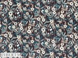 yoyoさま専用カートの画像