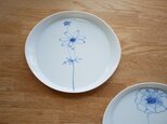 ご予約品　コスモス・アネモネ　19.5㎝プレート