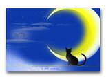 「ため息をそっと一番奥に仕舞って月見」 猫 ほっこり癒しのイラストポストカード2枚組No.1421の画像