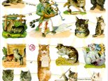 ドイツ製クロモス 猫の合唱団  ラメなし　DA-CH033 （Made in Germany)の画像