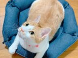 ペット用ベッド　クッション　猫用ベッド　犬用ベッド　岡山　デニム　　　　インディゴ　ブラック