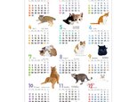 【岩井村カレンダー第２弾】2022年猫ともカレンダーA3サイズ壁貼りタイプ［送料込み］の画像