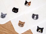 猫さん刺繍の白い泉州ハンカチタオル♬の画像