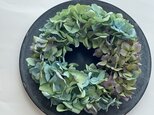 秋色紫陽花リース