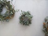 Wreath Sの画像