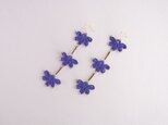 「O様専用ページ」 -FLAT FLOWER PIERCE-  exotic bluevioletの画像