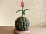 6176.bud 毛糸の苔玉 南天