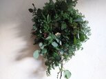 クリスマスリースーエバーグリーン