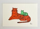 年賀状「虎と猫」5枚セットの画像