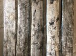 Leaf Plate type wall paintの画像
