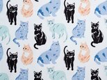 Sale*アメリカBirch プリントカットクロス Kitty Garden 猫たち オーガニックコットンの画像