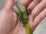 『たまぬこ様』オーダー品　蝶のイヤリングの画像