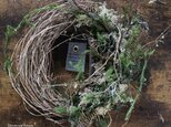 「眠る森」wreath　　コケのリース　　ドライフラワーリース　の画像