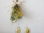 (再販）mimosa hymy＊小さなガラスドームとミニ花束の画像