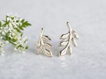 Foliage 5 leaves earrings [EP070K10]の画像