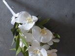 アーティフィシャルフラワー ブーケ胡蝶蘭(造花)の画像
