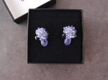 【天然石刺繍/ピアス】Tanzanite × Iolite Earrings