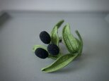 Olive ⅰ/ circleの画像
