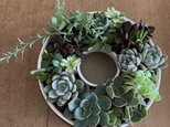 リース型の植木鉢　□しろの画像