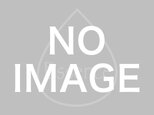 コッパーアマゾナイト<ペアシェイプカット・AAA>のピアス(K14GF)の画像