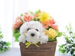 花畑の犬【イエロー】プリザーブドフラワー　カーネーションの犬　母の日　犬　花　の画像