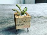 アンティーク家具を解体した端材を使って作った、多肉植物の鉢！の画像