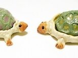 セットでお得！ カメ吉＆カメ子(N-6)の画像