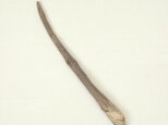 【温泉流木】魔法使いの杖のような1本の枝流木 枝 流木素材 インテリア素材 木材の画像