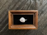 淡水真珠のイヤーカフの画像