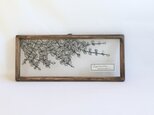 【植物標本シリーズ】リシマキア・ヌンムラリアの切り絵フレームの画像