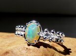 オパールリング / Botanical  Opal Ringの画像