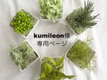 kumileon様専用ページの画像
