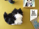 受注制作 >> PEPOSO: furry animals "cat" ねこ  / ハチワレ 白×黒の画像