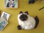 受注制作 >> PEPOSO: furry animals "cat" ねこ / ポインテッド クリーム×ブラウンの画像