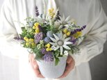 フランネルフラワーのアレンジメントmimosa lavender  -Artificial flower-の画像