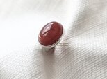 [赤のstory red agate]ringの画像