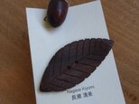 どんぐりと葉っぱのボタンセットの画像