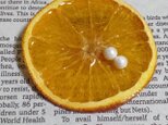 ドライオレンジのリアルブローチの画像