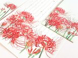 ヒガンバナの和紙レターセット ちょっと大きめ、Ｂ5サイズ縦書き